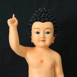 Tuong Phat Dan Sanh Vang Ve Mau Moi Cao 80cm 2