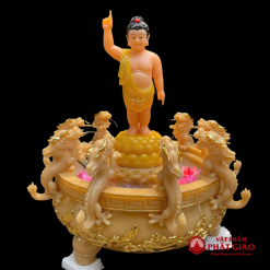 chau tam phat cuu long bot da thach anh vien vang vat pham phat giao 8