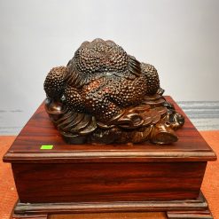 Cóc ngậm tiền bằng gỗ trắc đỏ đen 4 Cóc ngậm tiền bằng gỗ trắc đỏ đen