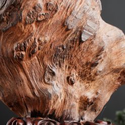 Diện Đạt Ma gỗ nu trắc SP3922