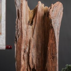 Tượng Đạt Ma ngồi thiền gỗ trắc SP2583 4 Tượng Đạt Ma ngồi thiền gỗ trắc SP2583