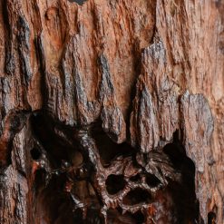 Tượng Đạt Ma ngồi thiền gỗ trắc SP2583 5 Tượng Đạt Ma ngồi thiền gỗ trắc SP2583