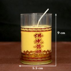 Nen Doi Cap Den Cay Hoa Sen Bo Thuc Vat Mau Vang – Do Chay 1 Ngay 3