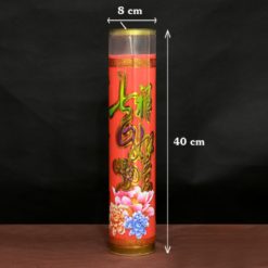 Nen Doi Cap Den Cay Hoa Sen Bo Thuc Vat Mau Vang – Do Chay 15 Ngay 3