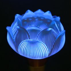 Untitled Project 8 1