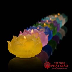 de nen chan den cay luu ly cao cap nhieu mau 1 1