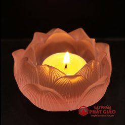 de nen chan den cay luu ly cao cap nhieu mau 3