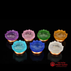 de nen chan den cay luu ly de dong nhieu mau 1 1