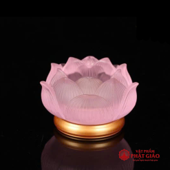 de nen chan den cay luu ly de dong nhieu mau 3