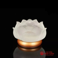 de nen chan den cay luu ly de dong nhieu mau 4