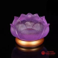 de nen chan den cay luu ly de dong nhieu mau 5