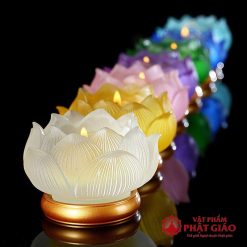 de nen chan den cay luu ly de dong nhieu mau 8 2