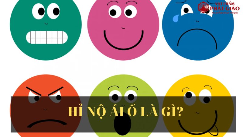 Hỉ nộ ái ố là gì? Làm thế nào kiểm soát hỉ nộ ái ố tốt nhất 1 hi-no-ai-o-la-gi-19