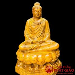 Tượng Bổn Sư Thích Ca Gỗ Gõ Vàng Cao 50cm 1 24 2