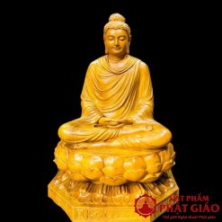 Tượng Bổn Sư Thích Ca Gỗ Gõ Vàng Cao 50cm 2 25 3