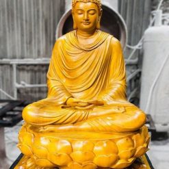 Tượng Bổn Sư Thích Ca Gỗ Gõ Vàng Cao 50cm 5 tuong bon su thich ca go go vang cao 50cm 1