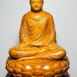 Tượng Bổn Sư Thích Ca Gỗ Gõ Vàng Cao 50cm 6 tuong bon su thich ca go go vang cao 50cm 2