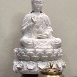 4e356b8d f110 4551 9888 d6d05093eda9