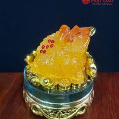 Cóc Ngậm Tiền Tài Lộc Màu Vàng 1 1 49