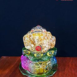Cóc Ngậm Tiền Thủy Tinh Tài Lộc Cao 13cm 4 4 31