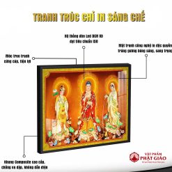 Chat luong khung tranh tam the phat