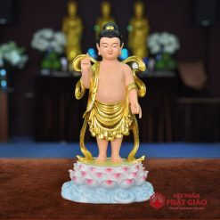 TTP DSDMDV70 00 800x800 1