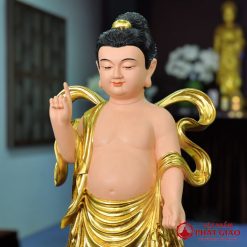 TTP DSDMDV70 02 800x800 1