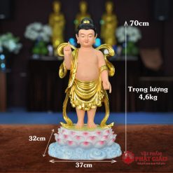 TTP DSDMDV70 10 800x800 1