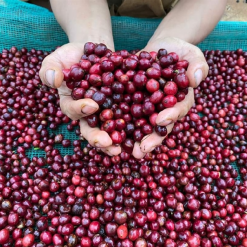 screenshot 1745745661