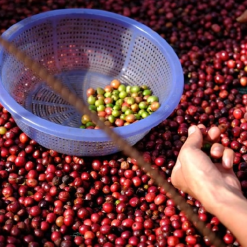 screenshot 1745745999