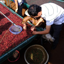 screenshot 1745746007