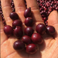 screenshot 1745746028