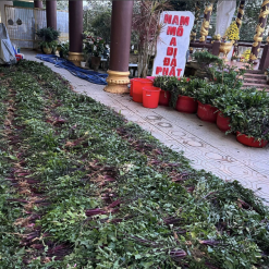 screenshot 1745746923