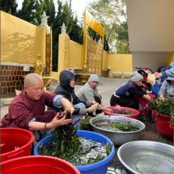 screenshot 1745746934