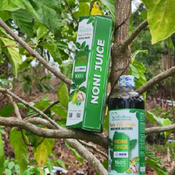 screenshot 1745803673