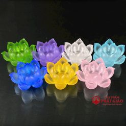 bo de nen luu ly hoa sen no phuc lien 7 mau 1