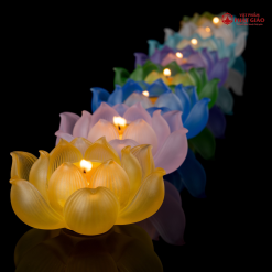 bo de nen luu ly hoa sen no phuc lien 7 mau 1