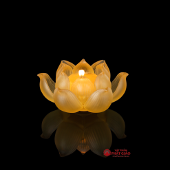 bo de nen luu ly hoa sen no phuc lien 7 mau 2