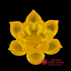 bo de nen luu ly hoa sen no phuc lien 7 mau 3