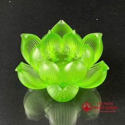 bo de nen luu ly hoa sen no phuc lien 7 mau 5