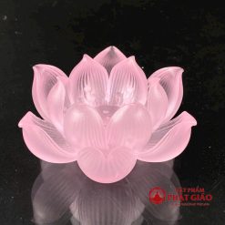 bo de nen luu ly hoa sen no phuc lien 7 mau 6