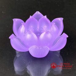 bo de nen luu ly hoa sen no phuc lien 7 mau 7