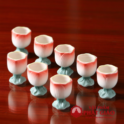 Chen Nuoc Tho Gom Su Canh Sen Hong vppg 5