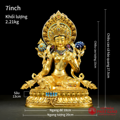 Tượng Lục Độ Mẫu Bằng Đồng Thếp Vàng Thủ Công Phong Cách Tây Tạng 18 Tượng Lục Độ Mẫu Bằng Đồng Thếp Vàng Thủ Công Phong Cách Tây Tạng - Ảnh 9