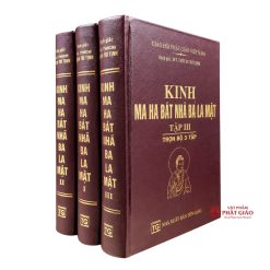 Kinh Ma Ha Bát Nhã Ba La Mật (Trọn Bộ 3 Tập) - Hán Dịch Pháp Sư Cưu Ma La Thập, Việt Dịch HT. Thích Trí Tịnh (NXB Tôn Giáo, Bìa Da Cứng) - Ảnh 4