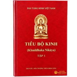 Kinh Nikaya Bìa Đỏ (Bộ 17 Quyển) — Việt dịch Trưởng lão HT. Thích Minh Châu (Bìa Cứng) - Ảnh 7