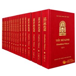 Kinh Nikaya Bìa Đỏ (Bộ 17 Quyển) — Việt dịch Trưởng lão HT. Thích Minh Châu (Bìa Cứng) - Ảnh 6