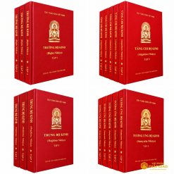 Kinh Nikaya Bìa Đỏ (Bộ 17 Quyển) — Việt dịch Trưởng lão HT. Thích Minh Châu (Bìa Cứng) - Ảnh 5